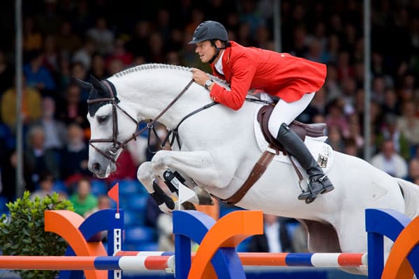 Cornet Obolensky, stallone bianco usato come anteprima del risultato di abbinamento